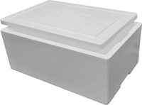 ThermoBox GN 1/1, med lokk